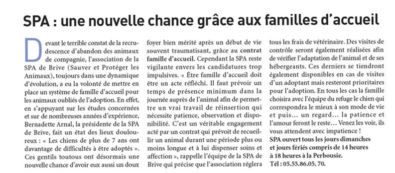 SPA : une nouvelle chance grâce aux familles d'accueil