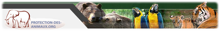 protection-des-animaux.org - Pour tout savoir sur la protection des animaux protection-des-animaux.org - Pour tout savoir sur la protection des animaux