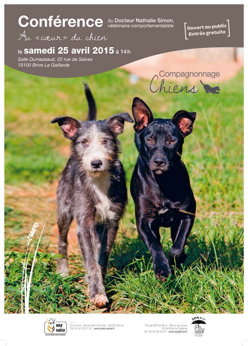 AFFICHE-COMPAGNONNAGE-CHIENS
