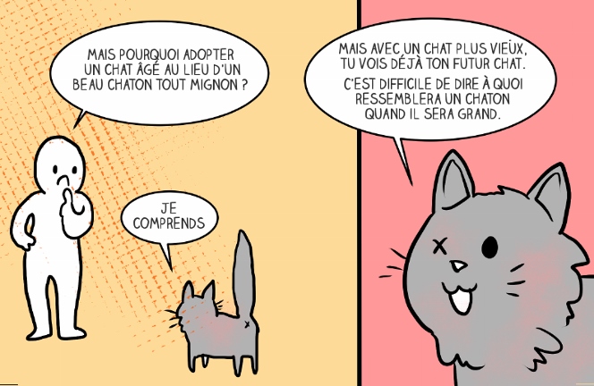 adopter-chat-2