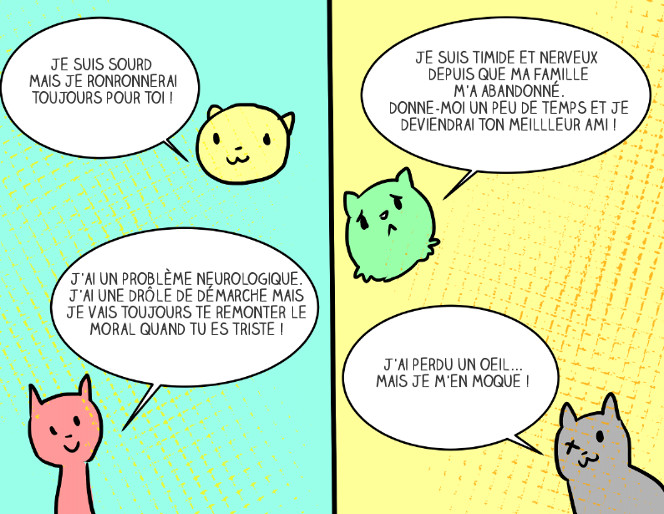 adopter-chat-5