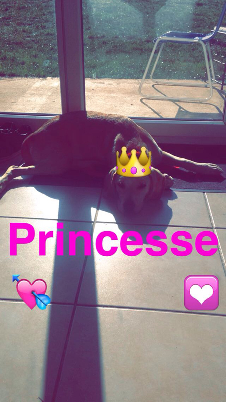 princesse1